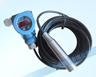 ZYK24數顯投入式水位計